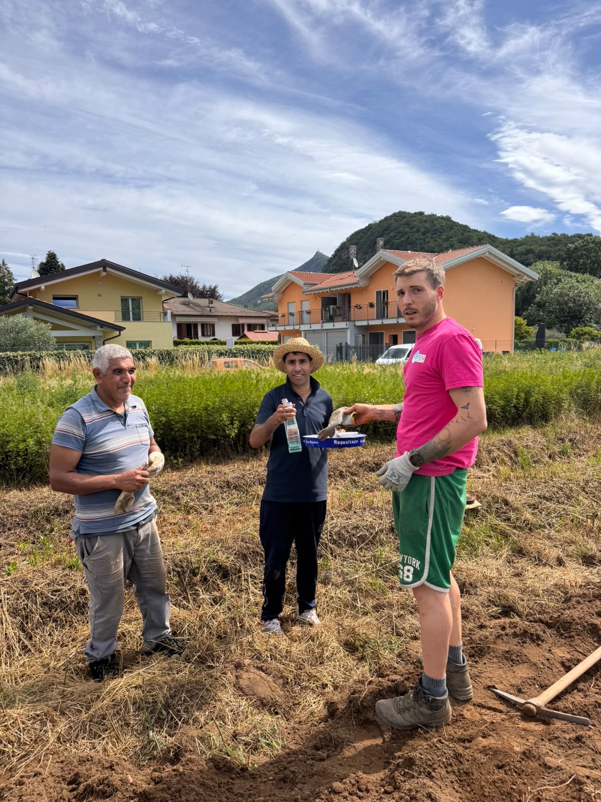 La messa a dimora dei bulbi di zafferano